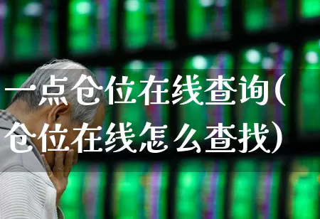 一点仓位在线查询(仓位在线怎么查找)_https://www.wanyuyiyao.com_上交所_第1张