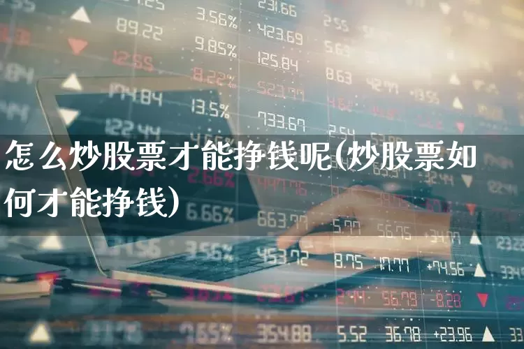 怎么炒股票才能挣钱呢(炒股票如何才能挣钱)_https://www.wanyuyiyao.com_上交所_第1张