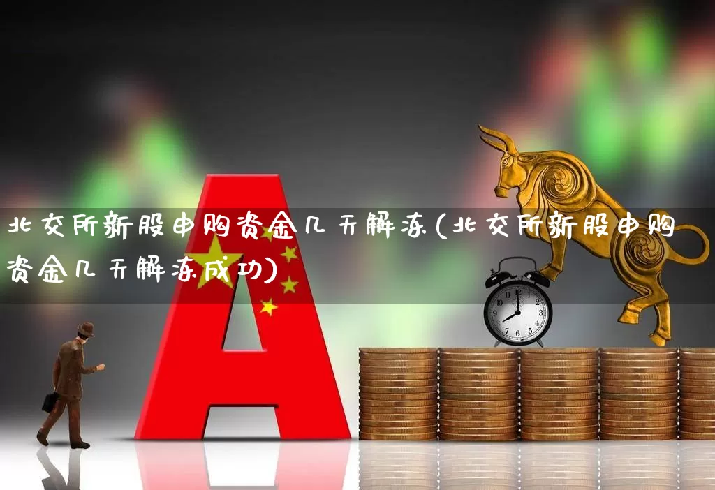 北交所新股申购资金几天解冻(北交所新股申购资金几天解冻成功)_https://www.wanyuyiyao.com_上交所_第1张