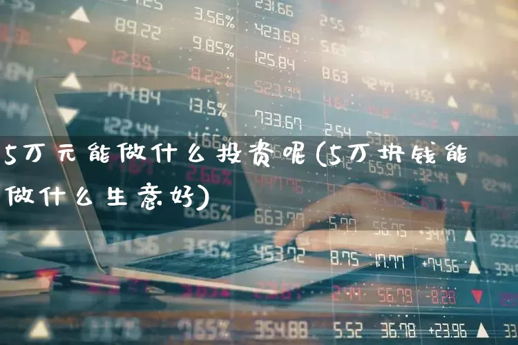 5万元能做什么投资呢(5万块钱能做什么生意好)_https://www.wanyuyiyao.com_上交所_第1张