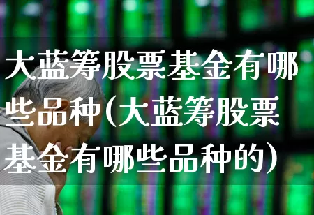 大蓝筹股票基金有哪些品种(大蓝筹股票基金有哪些品种的)_https://www.wanyuyiyao.com_上交所_第1张