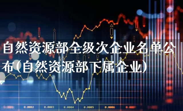 自然资源部全级次企业名单公布(自然资源部下属企业)_https://www.wanyuyiyao.com_北交所_第1张