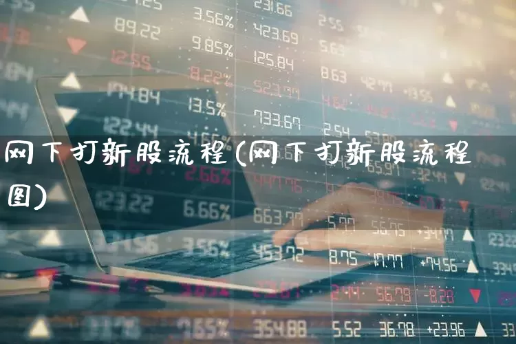 网下打新股流程(网下打新股流程图)_https://www.wanyuyiyao.com_北交所_第1张