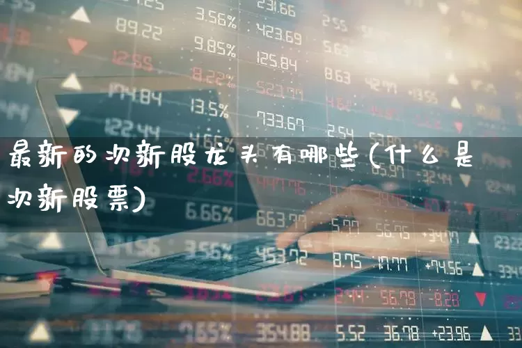 最新的次新股龙头有哪些(什么是次新股票)_https://www.wanyuyiyao.com_上交所_第1张