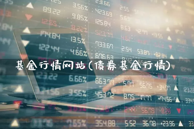 基金行情网站(债券基金行情)_https://www.wanyuyiyao.com_上交所_第1张