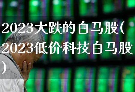 2023大跌的白马股(2023低价科技白马股)_https://www.wanyuyiyao.com_北交所_第1张