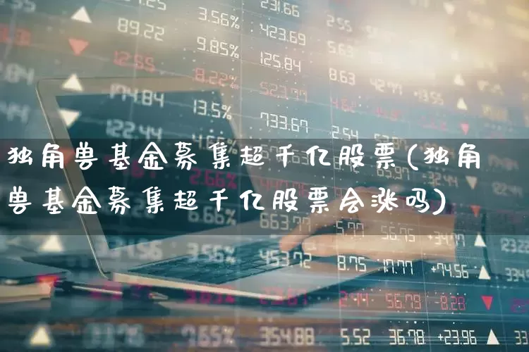 独角兽基金募集超千亿股票(独角兽基金募集超千亿股票会涨吗)_https://www.wanyuyiyao.com_科创板_第1张