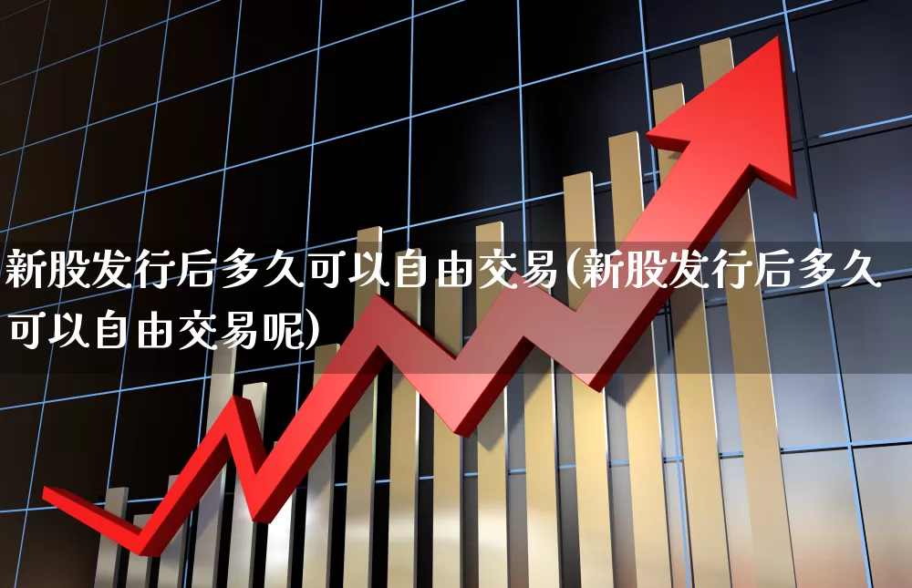 新股发行后多久可以自由交易(新股发行后多久可以自由交易呢)_https://www.wanyuyiyao.com_深交所_第1张
