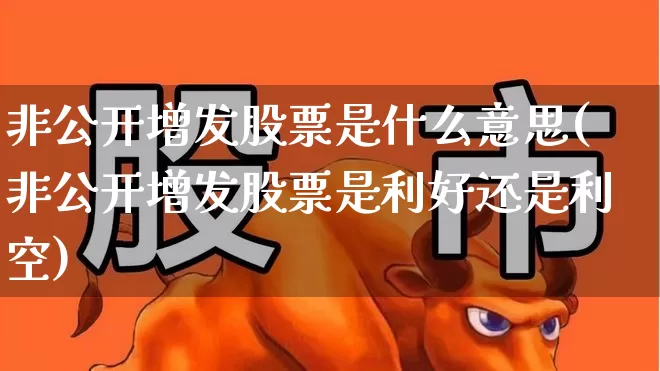 非公开增发股票是什么意思(非公开增发股票是利好还是利空)_https://www.wanyuyiyao.com_创业板_第1张