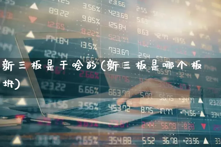 新三板是干啥的(新三板是哪个板块)_https://www.wanyuyiyao.com_深交所_第1张
