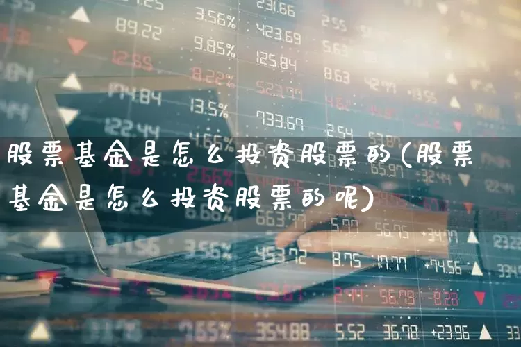 股票基金是怎么投资股票的(股票基金是怎么投资股票的呢)_https://www.wanyuyiyao.com_创业板_第1张