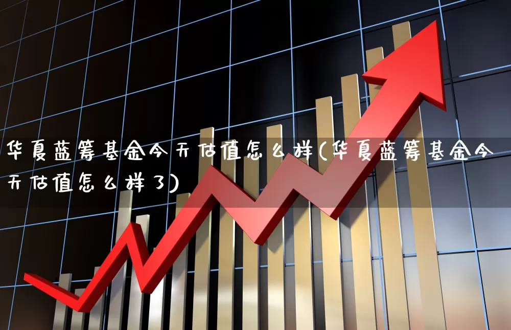 华夏蓝筹基金今天估值怎么样(华夏蓝筹基金今天估值怎么样了)_https://www.wanyuyiyao.com_上交所_第1张