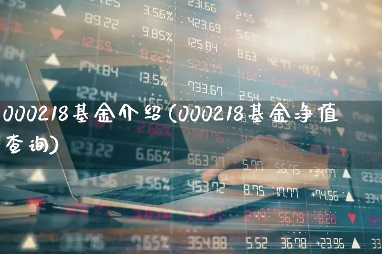 000218基金介绍(000218基金净值查询)_https://www.wanyuyiyao.com_创业板_第1张