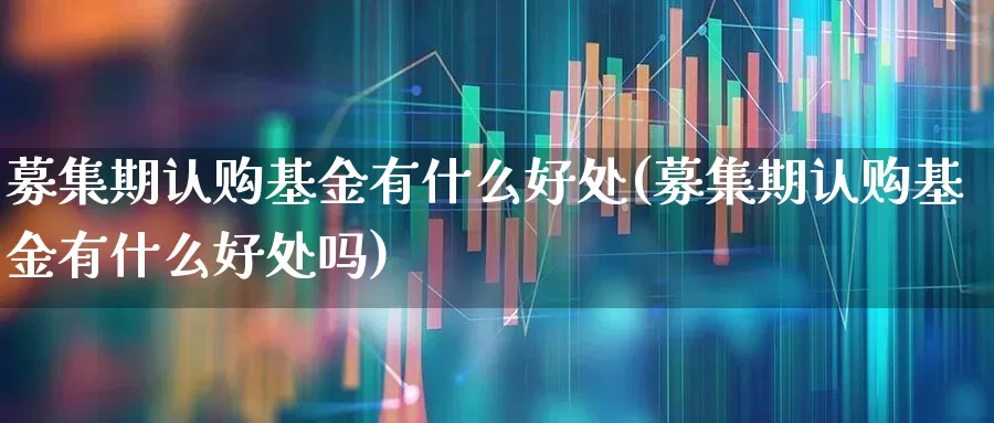 募集期认购基金有什么好处(募集期认购基金有什么好处吗)_https://www.wanyuyiyao.com_北交所_第1张
