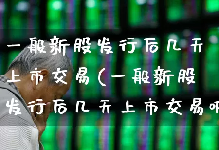 一般新股发行后几天上市交易(一般新股发行后几天上市交易啊)_https://www.wanyuyiyao.com_深交所_第1张