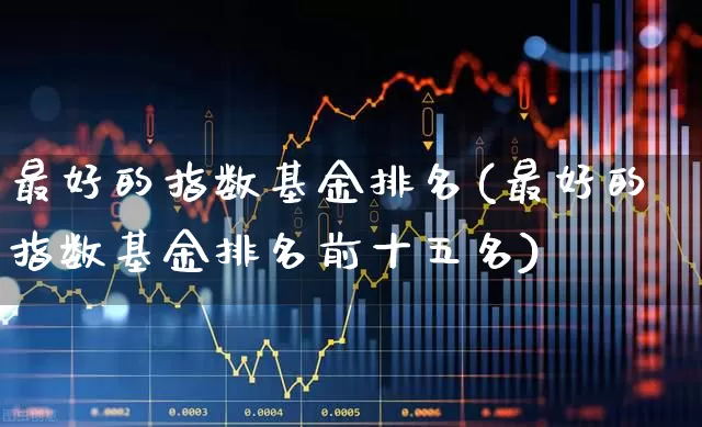 最好的指数基金排名(最好的指数基金排名前十五名)_https://www.wanyuyiyao.com_上交所_第1张
