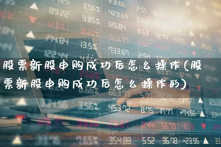 股票新股申购成功后怎么操作(股票新股申购成功后怎么操作的)_https://www.wanyuyiyao.com_深交所_第1张
