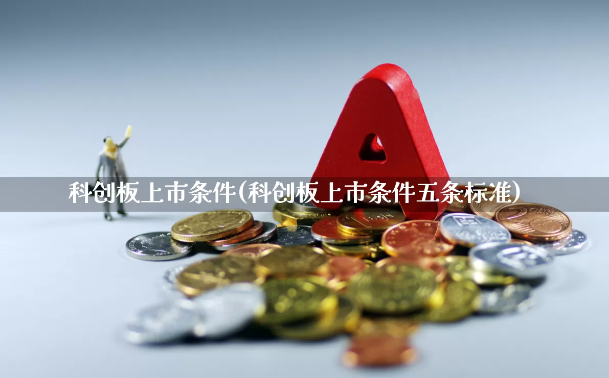科创板上市条件(科创板上市条件五条标准)_https://www.wanyuyiyao.com_深交所_第1张