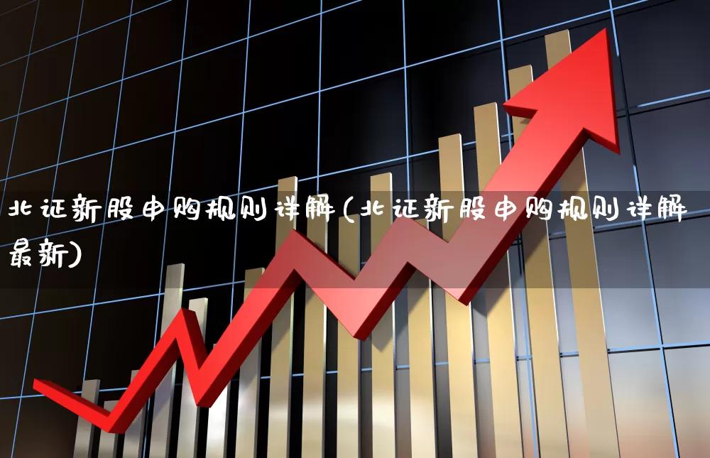 北证新股申购规则详解(北证新股申购规则详解最新)_https://www.wanyuyiyao.com_创业板_第1张