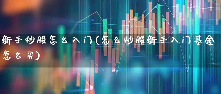新手炒股怎么入门(怎么炒股新手入门基金怎么买)_https://www.wanyuyiyao.com_创业板_第1张