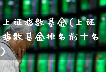 上证指数基金(上证指数基金排名前十名)_https://www.wanyuyiyao.com_科创板_第1张