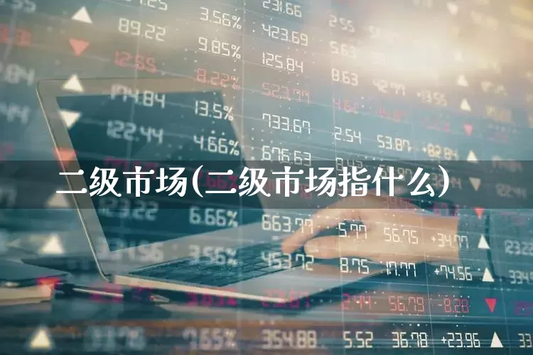 二级市场(二级市场指什么)_https://www.wanyuyiyao.com_创业板_第1张