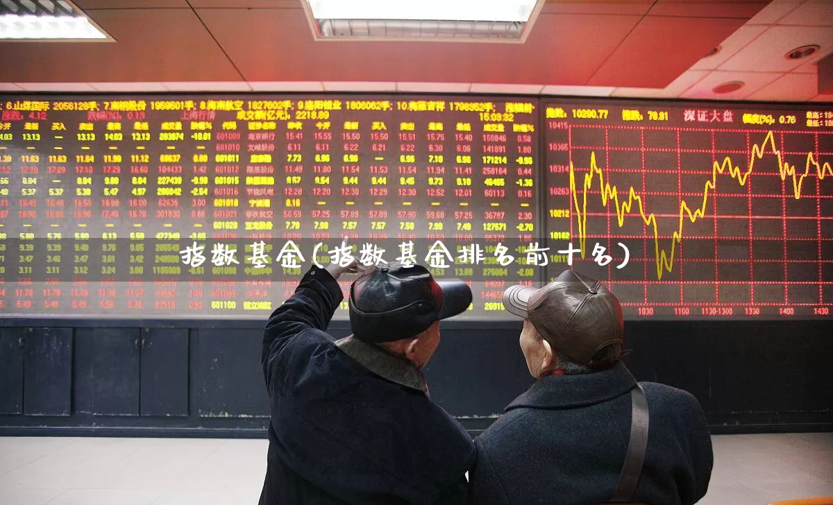 指数基金(指数基金排名前十名)_https://www.wanyuyiyao.com_上交所_第1张