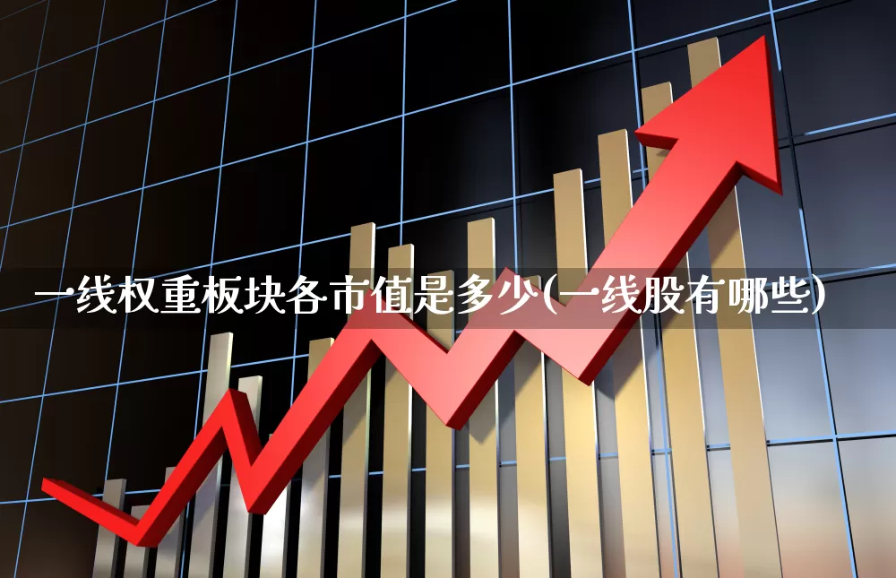 一线权重板块各市值是多少(一线股有哪些)_https://www.wanyuyiyao.com_科创板_第1张