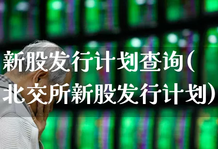 新股发行计划查询(北交所新股发行计划)_https://www.wanyuyiyao.com_科创板_第1张