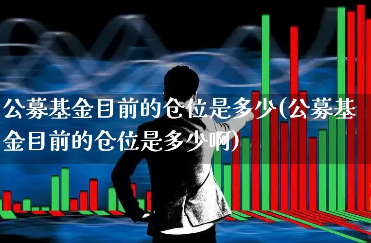公募基金目前的仓位是多少(公募基金目前的仓位是多少啊)_https://www.wanyuyiyao.com_深交所_第1张