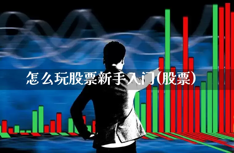 怎么玩股票新手入门(股票)_https://www.wanyuyiyao.com_科创板_第1张