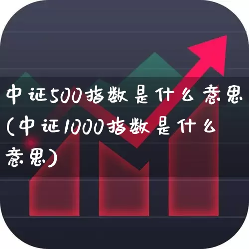 中证500指数是什么意思(中证1000指数是什么意思)_https://www.wanyuyiyao.com_上交所_第1张
