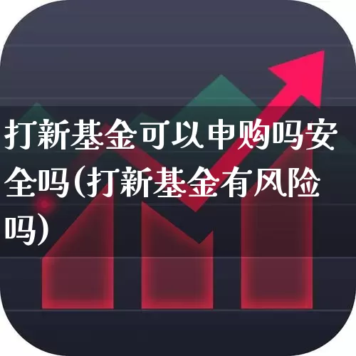 打新基金可以申购吗安全吗(打新基金有风险吗)_https://www.wanyuyiyao.com_上交所_第1张