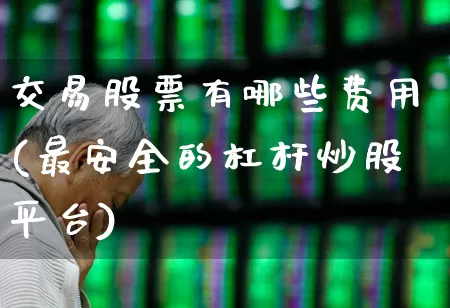 交易股票有哪些费用(最安全的杠杆炒股平台)_https://www.wanyuyiyao.com_上交所_第1张