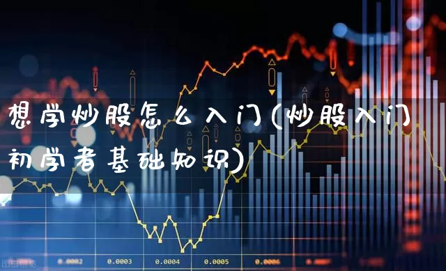 想学炒股怎么入门(炒股入门初学者基础知识)_https://www.wanyuyiyao.com_上交所_第1张