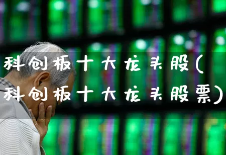 科创板十大龙头股(科创板十大龙头股票)_https://www.wanyuyiyao.com_科创板_第1张
