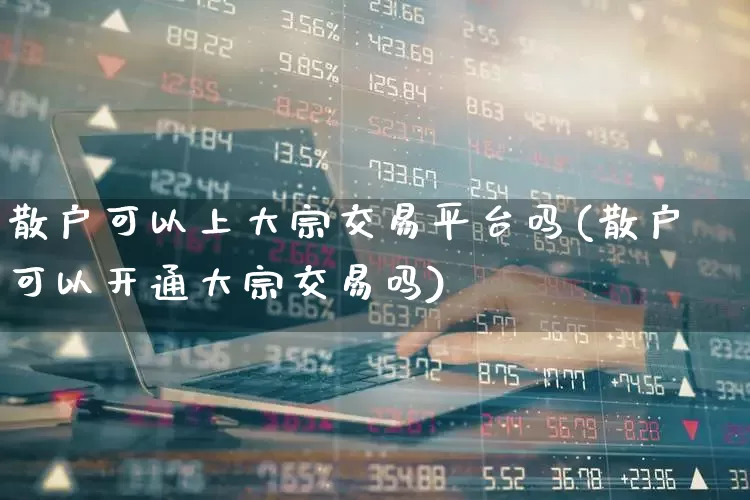 散户可以上大宗交易平台吗(散户可以开通大宗交易吗)_https://www.wanyuyiyao.com_创业板_第1张