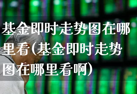 基金即时走势图在哪里看(基金即时走势图在哪里看啊)_https://www.wanyuyiyao.com_科创板_第1张