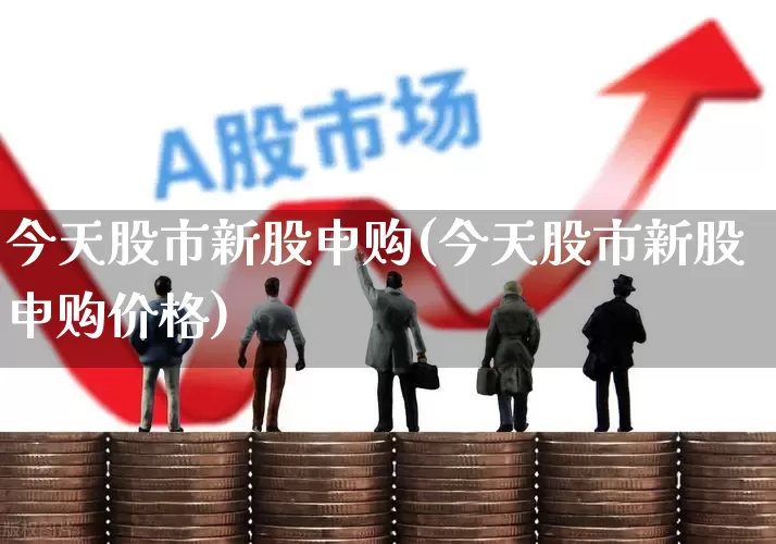 今天股市新股申购(今天股市新股申购价格)_https://www.wanyuyiyao.com_创业板_第1张