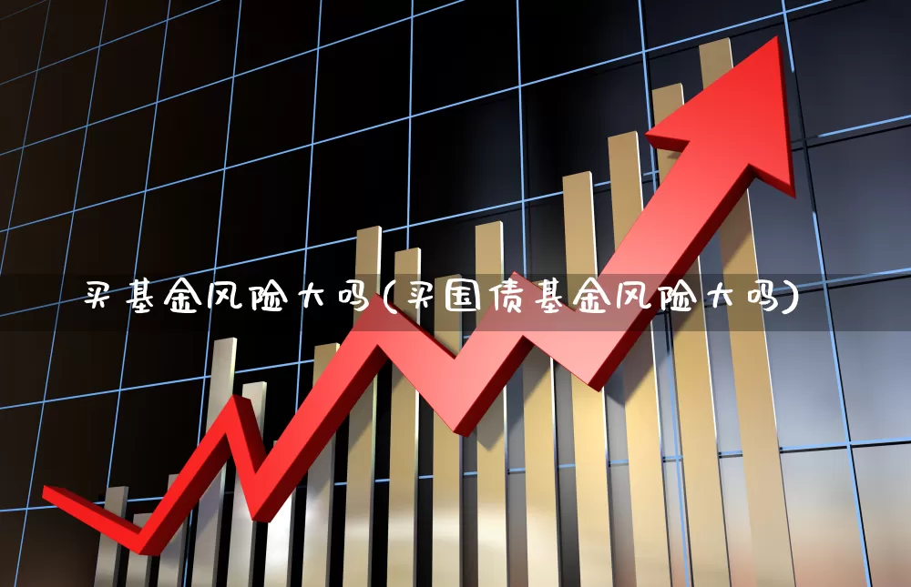 买基金风险大吗(买国债基金风险大吗)_https://www.wanyuyiyao.com_北交所_第1张