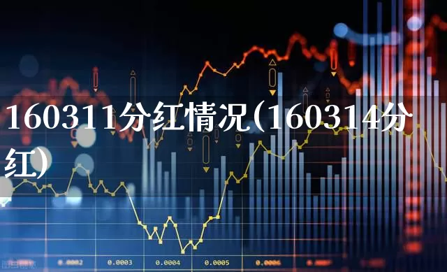 160311分红情况(160314分红)_https://www.wanyuyiyao.com_北交所_第1张
