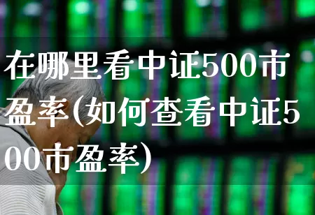 在哪里看中证500市盈率(如何查看中证500市盈率)_https://www.wanyuyiyao.com_深交所_第1张