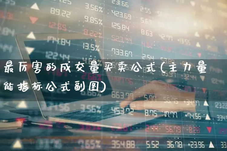 最厉害的成交量买卖公式(主力量能指标公式副图)_https://www.wanyuyiyao.com_北交所_第1张