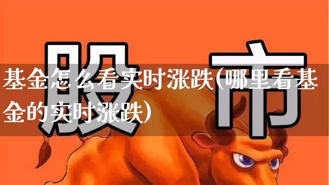 基金怎么看实时涨跌(哪里看基金的实时涨跌)_https://www.wanyuyiyao.com_科创板_第1张