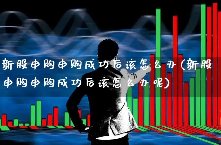 新股申购申购成功后该怎么办(新股申购申购成功后该怎么办呢)_https://www.wanyuyiyao.com_深交所_第1张