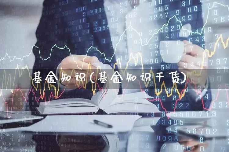 基金知识(基金知识干货)_https://www.wanyuyiyao.com_创业板_第1张