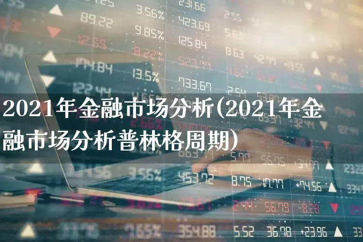 2021年金融市场分析(2021年金融市场分析普林格周期)_https://www.wanyuyiyao.com_上交所_第1张