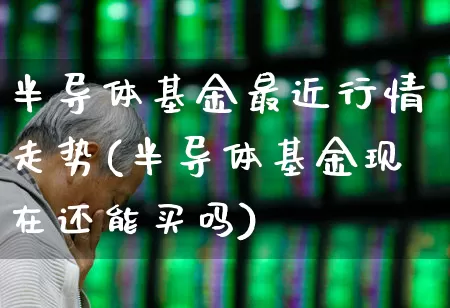 半导体基金最近行情走势(半导体基金现在还能买吗)_https://www.wanyuyiyao.com_深交所_第1张