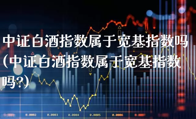 中证白酒指数属于宽基指数吗(中证白酒指数属于宽基指数吗?)_https://www.wanyuyiyao.com_北交所_第1张