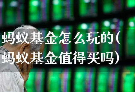蚂蚁基金怎么玩的(蚂蚁基金值得买吗)_https://www.wanyuyiyao.com_上交所_第1张